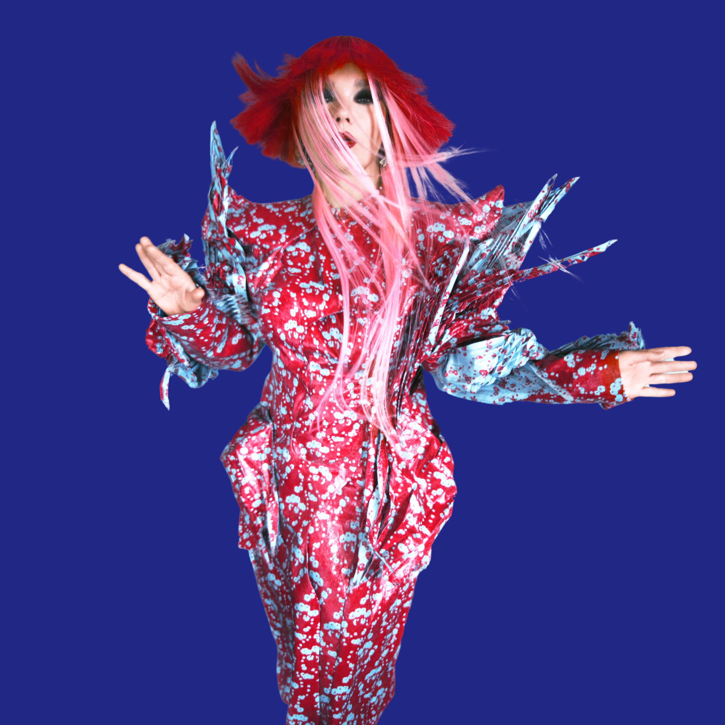 Bjork: The Icelandic Superstar on Being a Child Prodigy, the Power